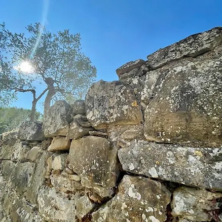 Poggio Belvedere By Vero Monte Vibiano Vecchio