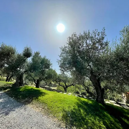 Poggio Belvedere By Vero Monte Vibiano Vecchio