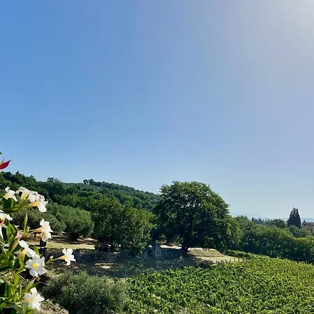 Poggio Belvedere By Vero 别墅 *
